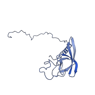 10068_6rzz_T_v1-1
Cryo-EM structures of Lsg1-TAP pre-60S ribosomal particles