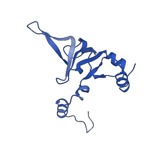 10068_6rzz_X_v1-1
Cryo-EM structures of Lsg1-TAP pre-60S ribosomal particles