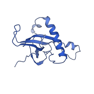 10068_6rzz_Y_v1-1
Cryo-EM structures of Lsg1-TAP pre-60S ribosomal particles