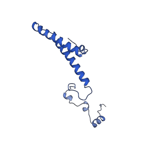 10068_6rzz_Z_v1-1
Cryo-EM structures of Lsg1-TAP pre-60S ribosomal particles
