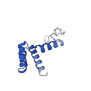 10068_6rzz_h_v1-1
Cryo-EM structures of Lsg1-TAP pre-60S ribosomal particles
