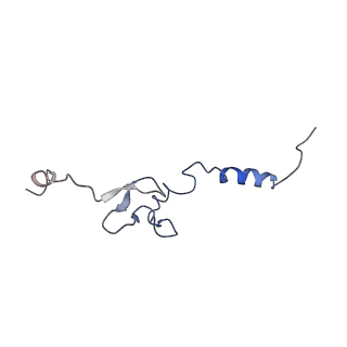 10068_6rzz_i_v1-1
Cryo-EM structures of Lsg1-TAP pre-60S ribosomal particles