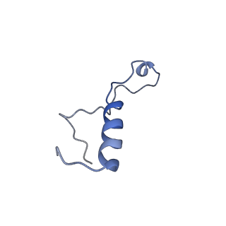 10068_6rzz_k_v1-1
Cryo-EM structures of Lsg1-TAP pre-60S ribosomal particles