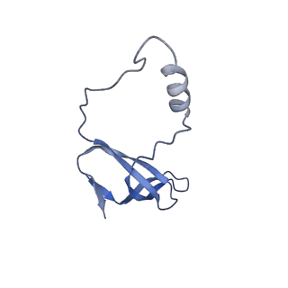 10068_6rzz_l_v1-1
Cryo-EM structures of Lsg1-TAP pre-60S ribosomal particles