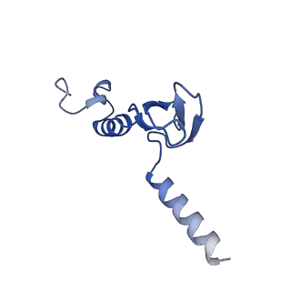 10068_6rzz_m_v1-1
Cryo-EM structures of Lsg1-TAP pre-60S ribosomal particles