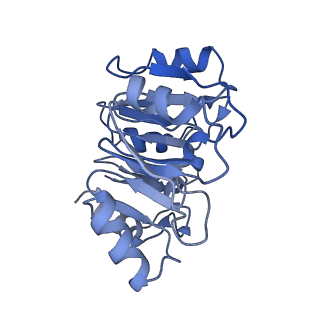 10068_6rzz_n_v1-1
Cryo-EM structures of Lsg1-TAP pre-60S ribosomal particles