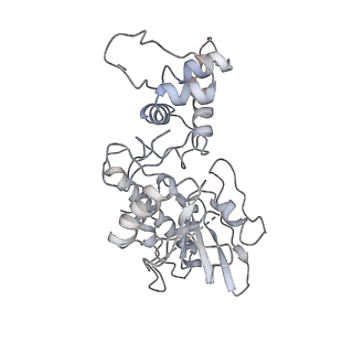 10068_6rzz_o_v1-1
Cryo-EM structures of Lsg1-TAP pre-60S ribosomal particles