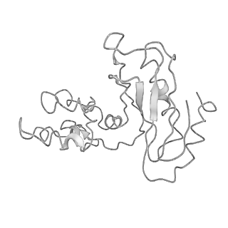 10068_6rzz_p_v1-1
Cryo-EM structures of Lsg1-TAP pre-60S ribosomal particles