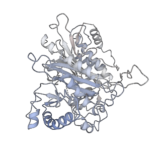 10068_6rzz_r_v1-1
Cryo-EM structures of Lsg1-TAP pre-60S ribosomal particles