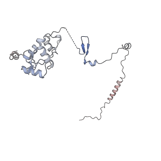 10068_6rzz_u_v1-1
Cryo-EM structures of Lsg1-TAP pre-60S ribosomal particles