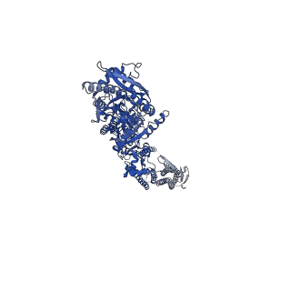 24750_7rz4_A_v1-1
Structure of the complex of AMPA receptor GluA2 with auxiliary subunit TARP gamma-5 bound to competitive antagonist ZK 200775