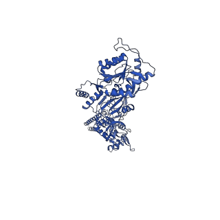 24750_7rz4_B_v1-1
Structure of the complex of AMPA receptor GluA2 with auxiliary subunit TARP gamma-5 bound to competitive antagonist ZK 200775