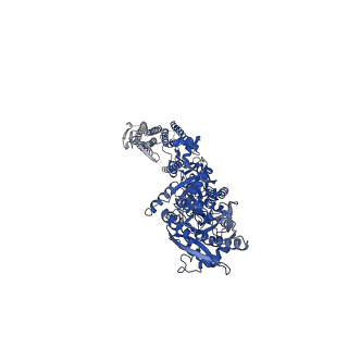 24750_7rz4_C_v1-1
Structure of the complex of AMPA receptor GluA2 with auxiliary subunit TARP gamma-5 bound to competitive antagonist ZK 200775