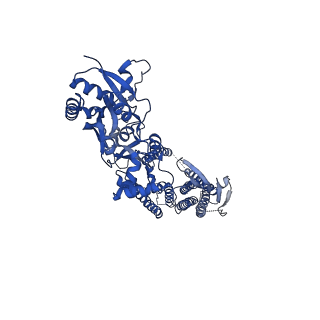 24751_7rz5_A_v1-1
Structure of the complex of LBD-TMD part of AMPA receptor GluA2 with auxiliary subunit TARP gamma-5 bound to competitive antagonist ZK 200775