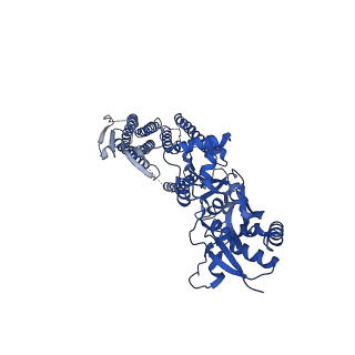 24751_7rz5_C_v1-1
Structure of the complex of LBD-TMD part of AMPA receptor GluA2 with auxiliary subunit TARP gamma-5 bound to competitive antagonist ZK 200775