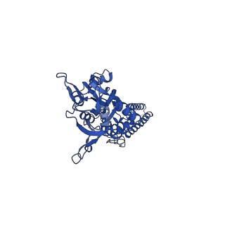 24751_7rz5_D_v1-1
Structure of the complex of LBD-TMD part of AMPA receptor GluA2 with auxiliary subunit TARP gamma-5 bound to competitive antagonist ZK 200775