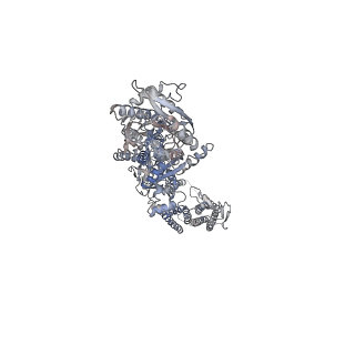 24752_7rz6_A_v1-1
Structure of the complex of AMPA receptor GluA2 with auxiliary subunit TARP gamma-5 bound to agonist glutamate