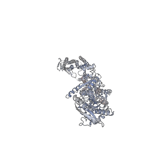 24752_7rz6_C_v1-1
Structure of the complex of AMPA receptor GluA2 with auxiliary subunit TARP gamma-5 bound to agonist glutamate