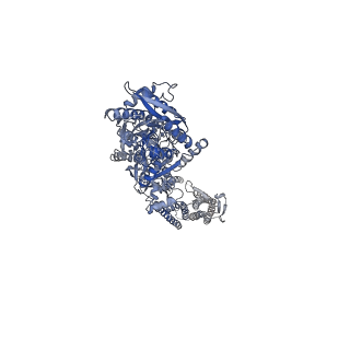 24753_7rz7_A_v1-1
Structure of the complex of AMPA receptor GluA2 with auxiliary subunit TARP gamma-5 bound to agonist Quisqualate