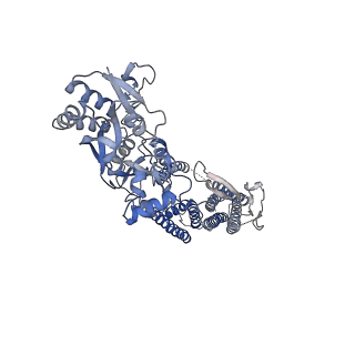 24754_7rz8_A_v1-1
Structure of the complex of LBD-TMD part of AMPA receptor GluA2 with auxiliary subunit TARP gamma-5 bound to agonist quisqualate