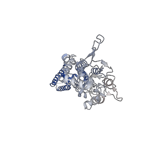 24754_7rz8_B_v1-1
Structure of the complex of LBD-TMD part of AMPA receptor GluA2 with auxiliary subunit TARP gamma-5 bound to agonist quisqualate