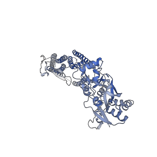 24754_7rz8_C_v1-1
Structure of the complex of LBD-TMD part of AMPA receptor GluA2 with auxiliary subunit TARP gamma-5 bound to agonist quisqualate
