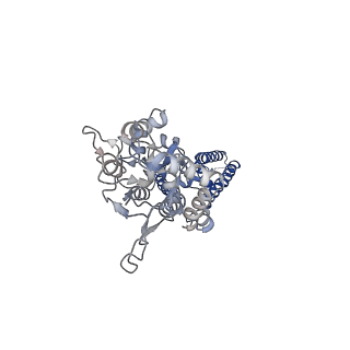 24754_7rz8_D_v1-1
Structure of the complex of LBD-TMD part of AMPA receptor GluA2 with auxiliary subunit TARP gamma-5 bound to agonist quisqualate