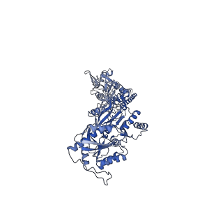 24755_7rz9_B_v1-1
Structure of the complex of AMPA receptor GluA2 with auxiliary subunit GSG1L in the apo state