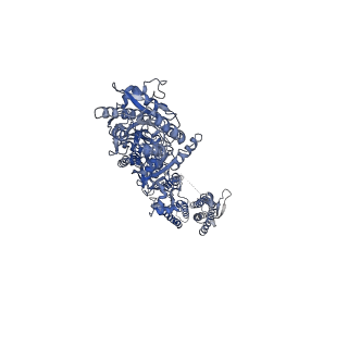 24755_7rz9_C_v1-1
Structure of the complex of AMPA receptor GluA2 with auxiliary subunit GSG1L in the apo state