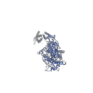 24756_7rza_A_v1-1
Structure of the complex of AMPA receptor GluA2 with auxiliary subunit GSG1L bound to agonist quisqualate
