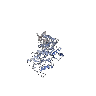 24756_7rza_B_v1-1
Structure of the complex of AMPA receptor GluA2 with auxiliary subunit GSG1L bound to agonist quisqualate