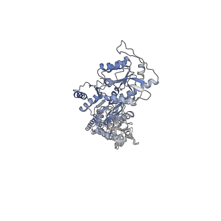 24756_7rza_D_v1-1
Structure of the complex of AMPA receptor GluA2 with auxiliary subunit GSG1L bound to agonist quisqualate