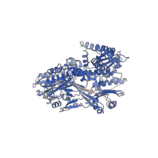 24780_7rzw_A_v1-1
CryoEM structure of Arabidopsis thaliana phytochrome B