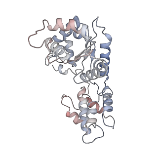 24783_7rzy_2_v1-2
CryoEM structure of Vibrio cholerae transposon Tn6677 AAA+ ATPase TnsC
