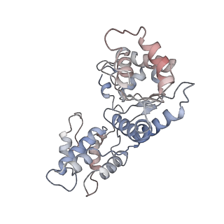 24783_7rzy_3_v1-2
CryoEM structure of Vibrio cholerae transposon Tn6677 AAA+ ATPase TnsC
