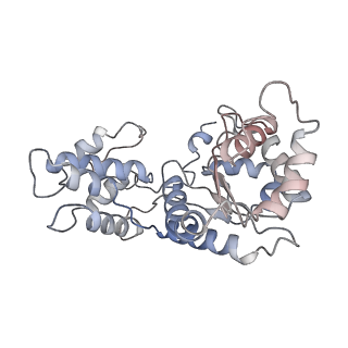 24783_7rzy_4_v1-2
CryoEM structure of Vibrio cholerae transposon Tn6677 AAA+ ATPase TnsC