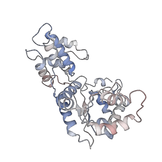 24783_7rzy_5_v1-2
CryoEM structure of Vibrio cholerae transposon Tn6677 AAA+ ATPase TnsC