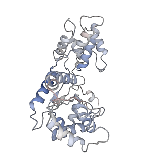 24783_7rzy_6_v1-2
CryoEM structure of Vibrio cholerae transposon Tn6677 AAA+ ATPase TnsC