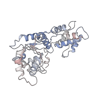 24783_7rzy_7_v1-2
CryoEM structure of Vibrio cholerae transposon Tn6677 AAA+ ATPase TnsC