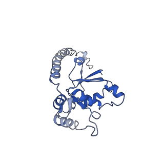 10071_6s05_J_v1-1
Cryo-EM structures of Lsg1-TAP pre-60S ribosomal particles