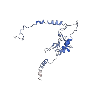 10071_6s05_K_v1-1
Cryo-EM structures of Lsg1-TAP pre-60S ribosomal particles