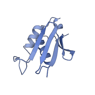 10071_6s05_V_v1-1
Cryo-EM structures of Lsg1-TAP pre-60S ribosomal particles