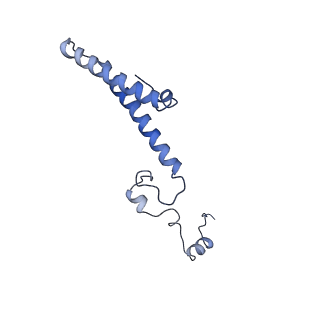10071_6s05_Z_v1-1
Cryo-EM structures of Lsg1-TAP pre-60S ribosomal particles