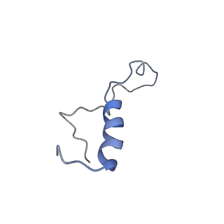 10071_6s05_k_v1-1
Cryo-EM structures of Lsg1-TAP pre-60S ribosomal particles
