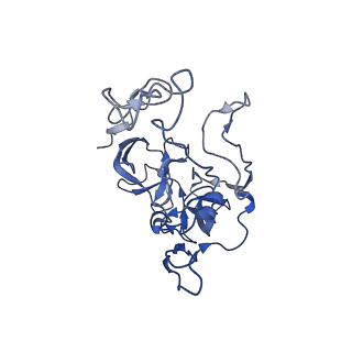 10073_6s0k_C_v1-2
Ribosome nascent chain in complex with SecA