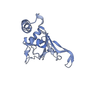 10073_6s0k_F_v1-2
Ribosome nascent chain in complex with SecA