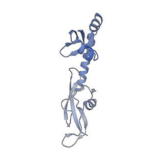 10073_6s0k_H_v1-2
Ribosome nascent chain in complex with SecA
