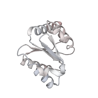 10073_6s0k_I_v1-2
Ribosome nascent chain in complex with SecA