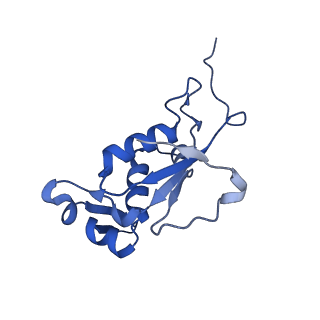 10073_6s0k_K_v1-2
Ribosome nascent chain in complex with SecA