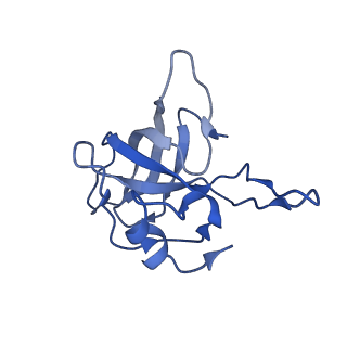 10073_6s0k_L_v1-2
Ribosome nascent chain in complex with SecA